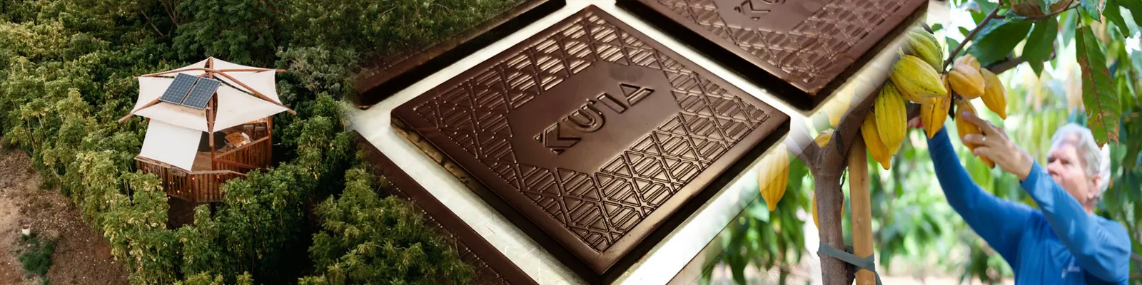 Ku'ia Estate – Cacao Farm Tour & Treehouse Lunch 